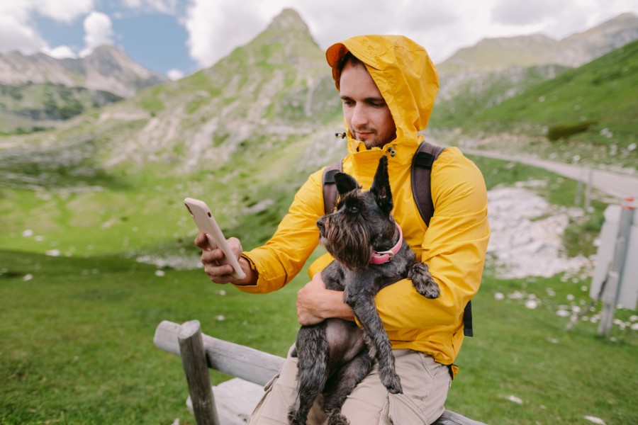 Comment choisir un bon collier GPS pour son chien ?